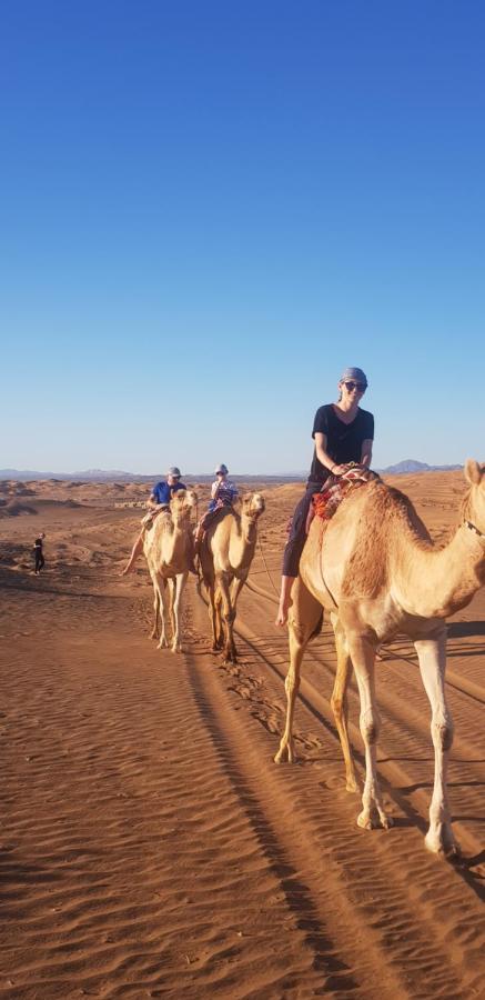 Al Hawiyah Camp Otel Dış mekan fotoğraf